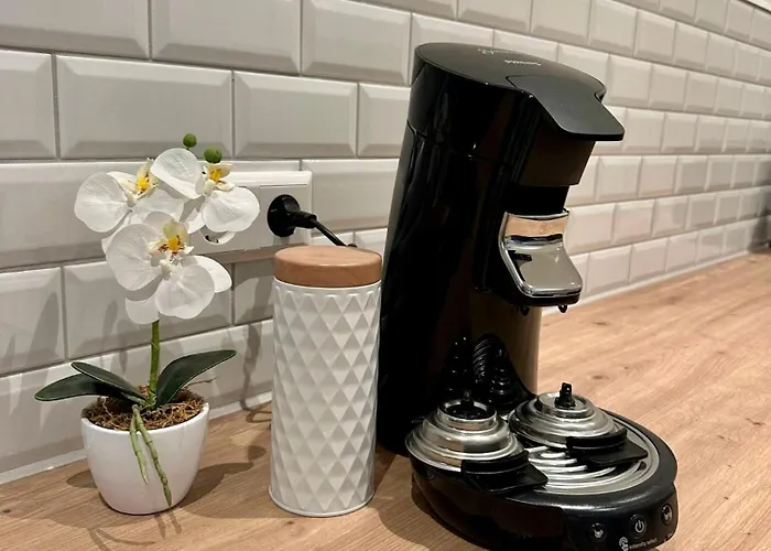 M17 - Loc Apartament